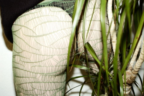 My Plants Are Dead – 2