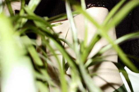 My Plants Are Dead – 5