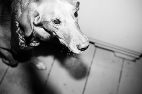 Delirio dei sensi – 3