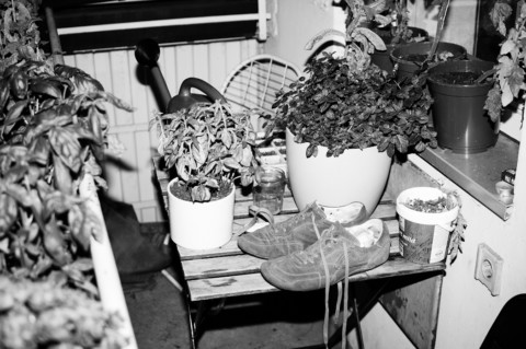 Vergeude deine Jugend – 7