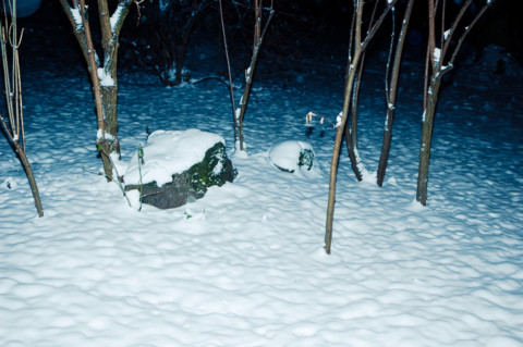 Just Kids, III – 8