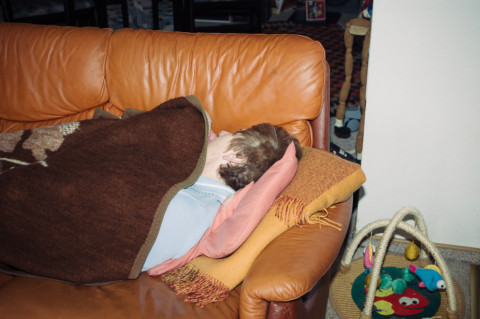 Schnelle Gerichte für jeden Tag – 2