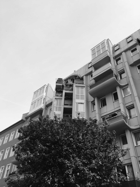 Without Return – 9