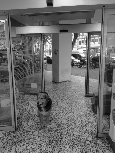 People And Places In Trouble – 46