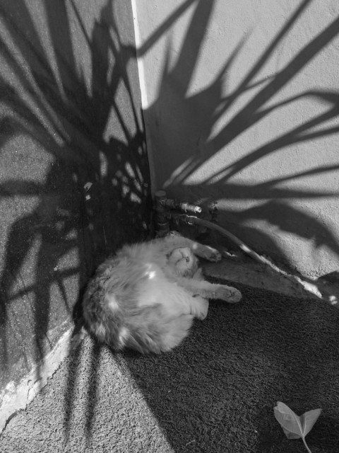 Don’t Take It! – 23