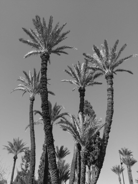 Don’t Take It! – 28