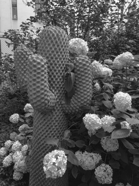 Die Kunst des Comebacks – 12