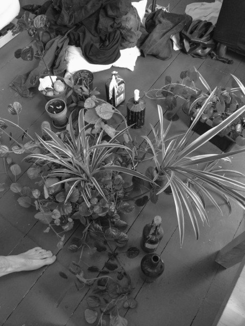 Die Kunst des Comebacks – 7