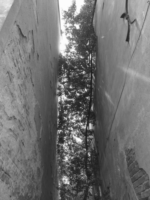 Die Kunst des Comebacks – 20