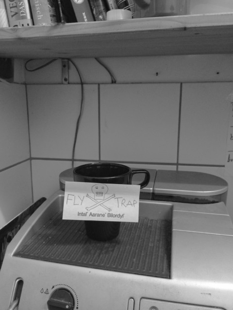 Fly Trap – 20
