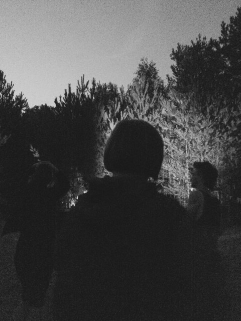 Some Neuroscience – 28