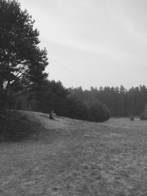 Some Neuroscience – 32