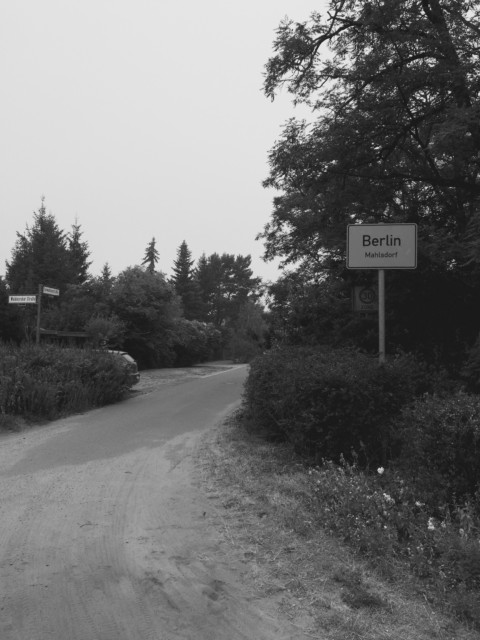 Some Neuroscience – 39