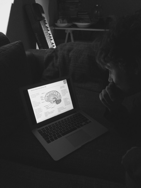 Some Neuroscience – 6