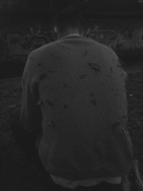 Some Neuroscience – 15