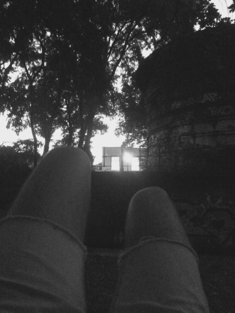 Some Neuroscience – 16