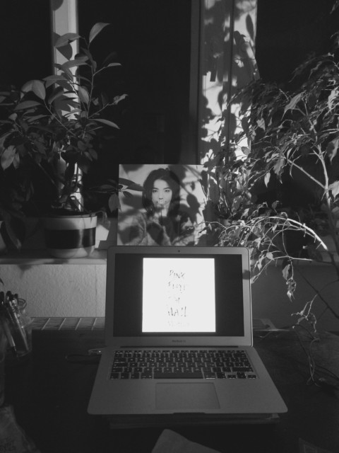 Some Neuroscience – 17