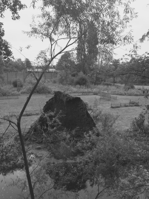 Winning by Losing – 32