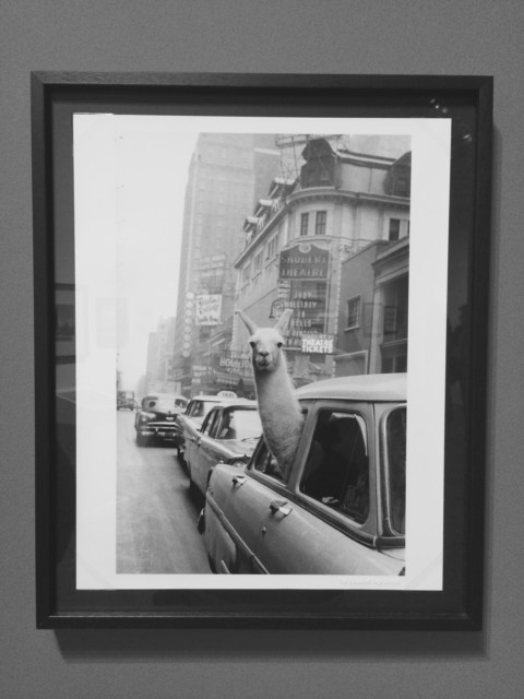 Winning by Losing – 27