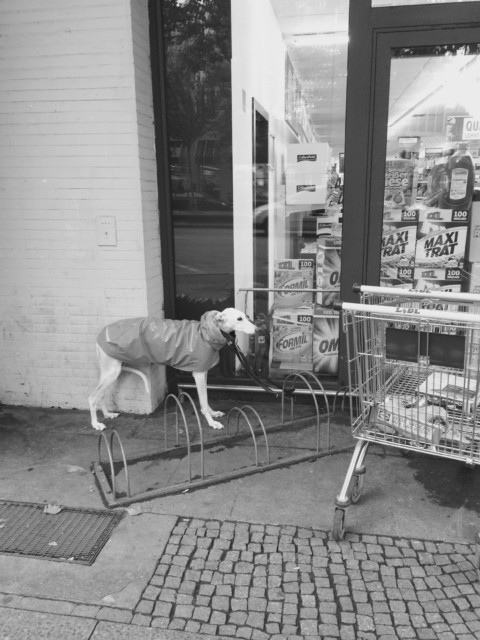 Nicht Einsteigen – 26