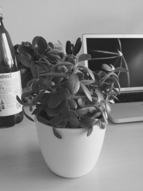 Nicht Einsteigen – 6