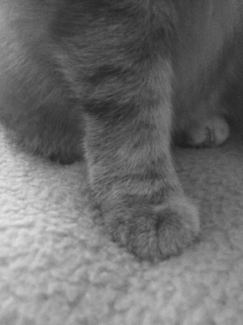 Nicht Einsteigen – 27