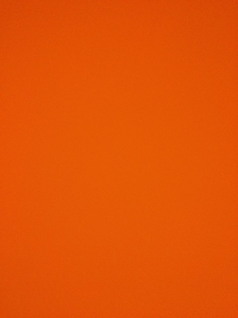 Winning by Losing – 4