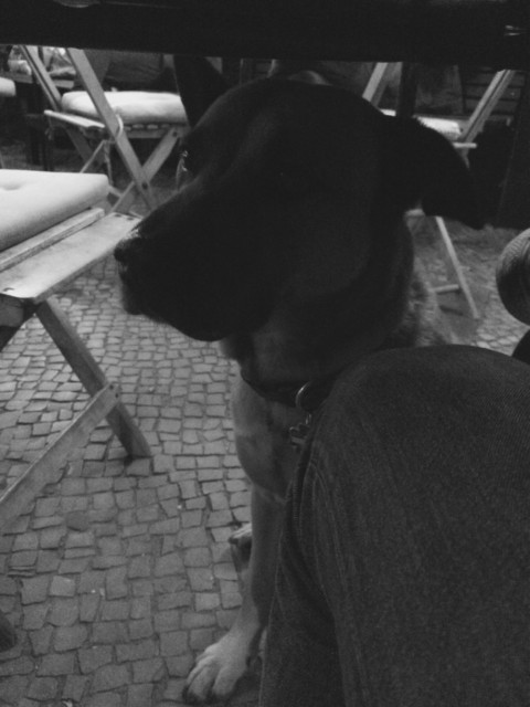 Winning by Losing – 3