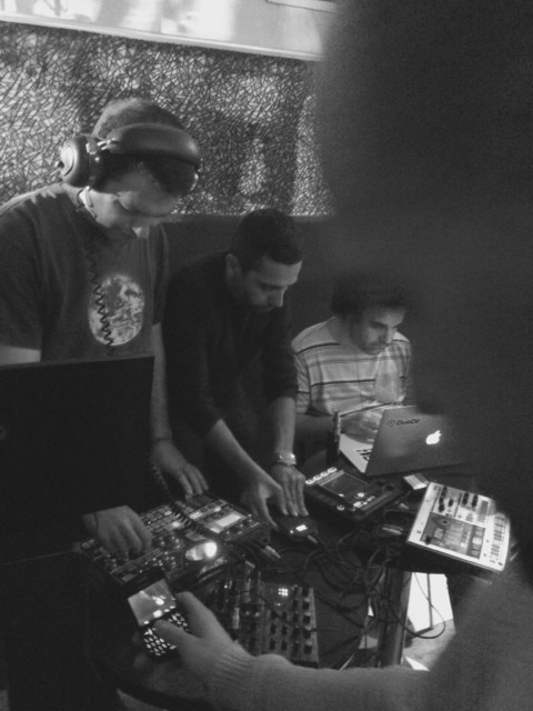 Plants on Speed – 16