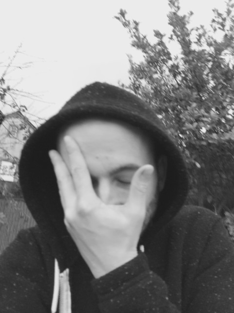 Plants on Speed – 17