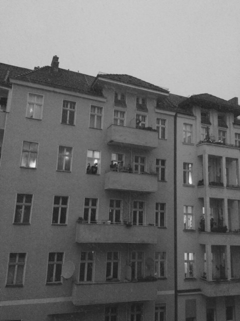 Plants on Speed – 31