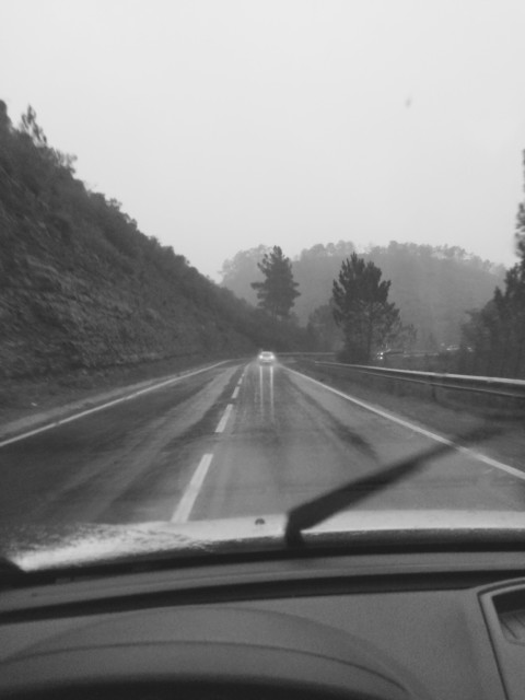 Plants on Speed – 18