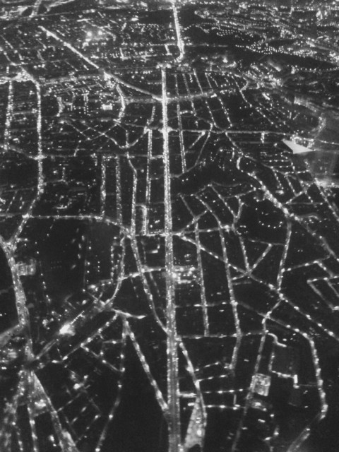 Plants on Speed – 19