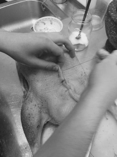 Plants on Speed – 40