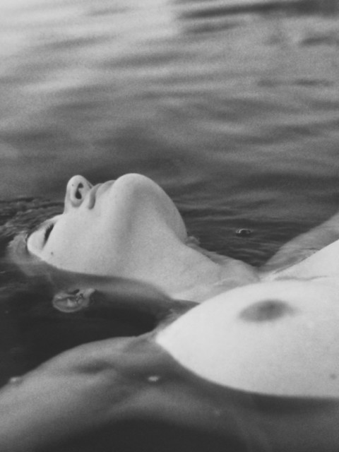 Plants on Speed – 4