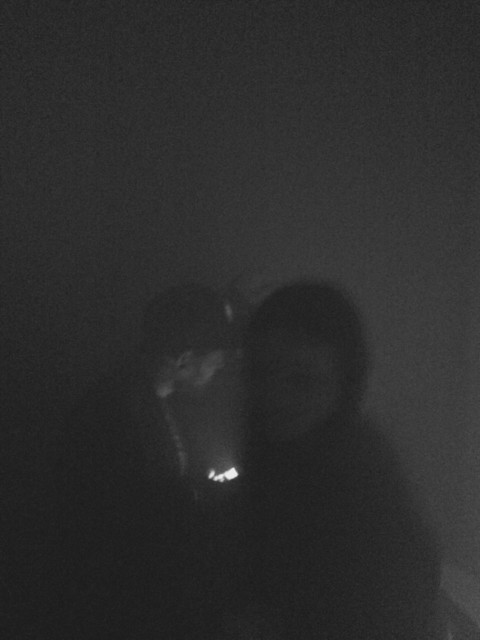 Plants on Speed – 5