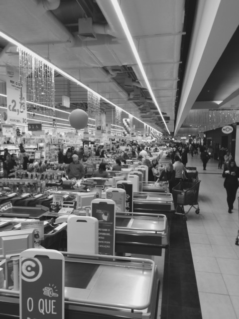 Plants on Speed – 1