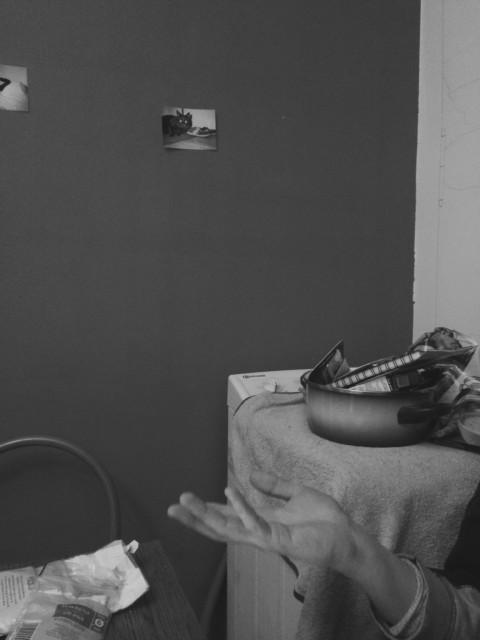 Plants on Speed – 6