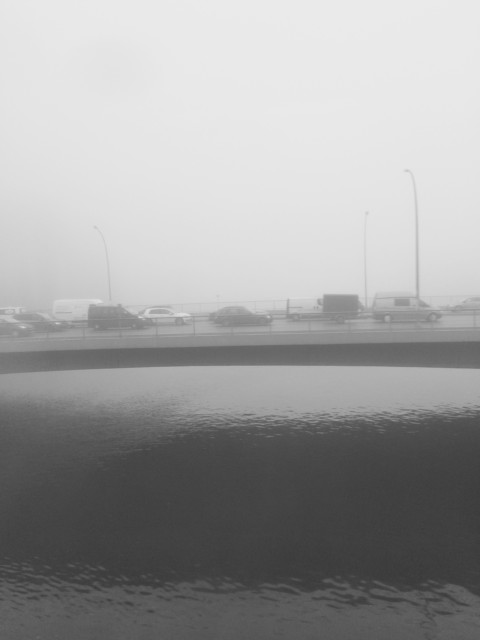 Plants on Speed – 8