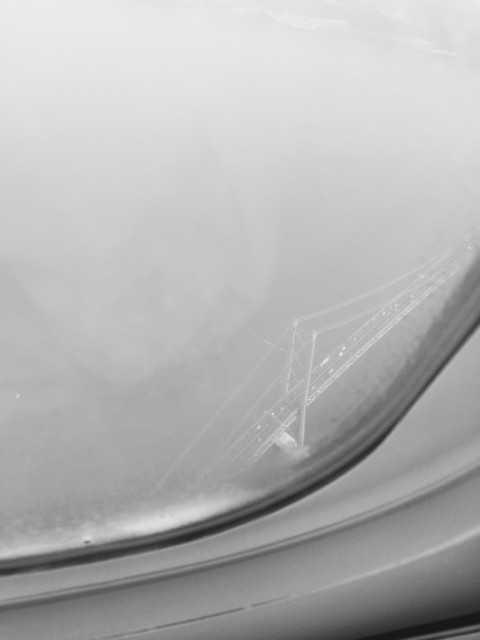 Plants on Speed – 10