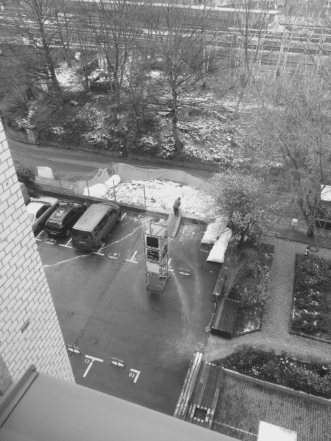 Plants on Speed – 24