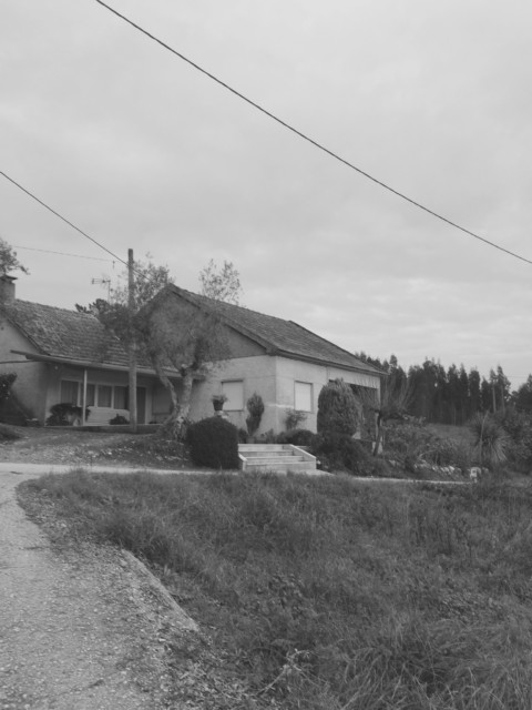 Plants on Speed – 12