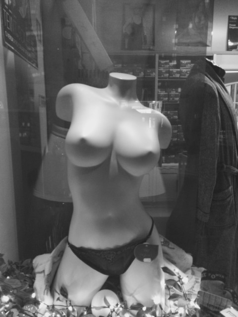 Plants on Speed – 13