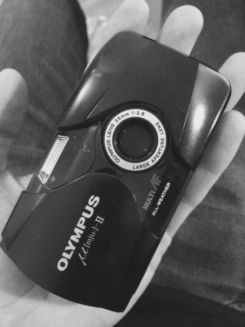 Plants on Speed – 26