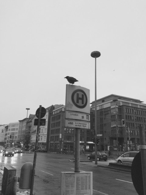 Colour Concept – 46