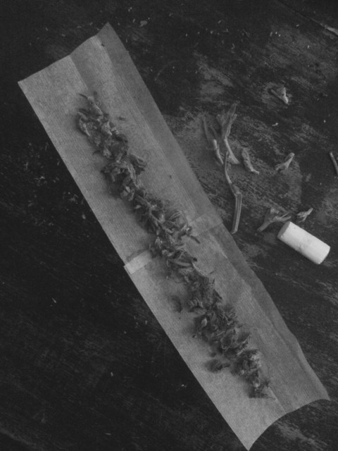 Colour Concept – 55