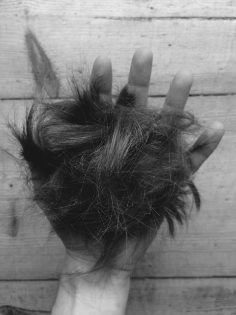 General Semantics – 32