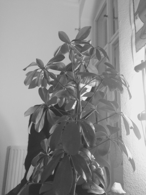 General Semantics – 33