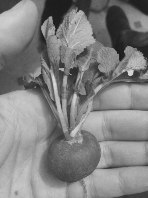 General Semantics – 39