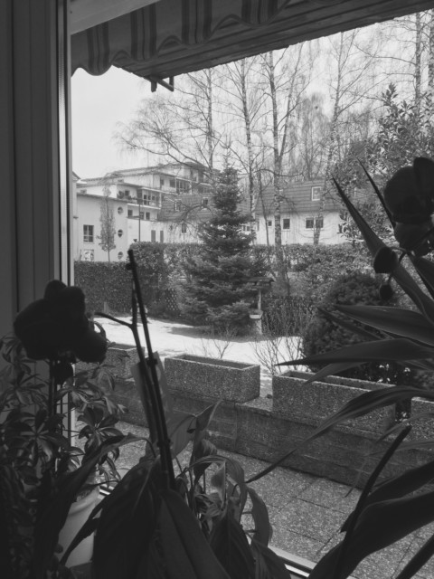 Astonishing Light – 23